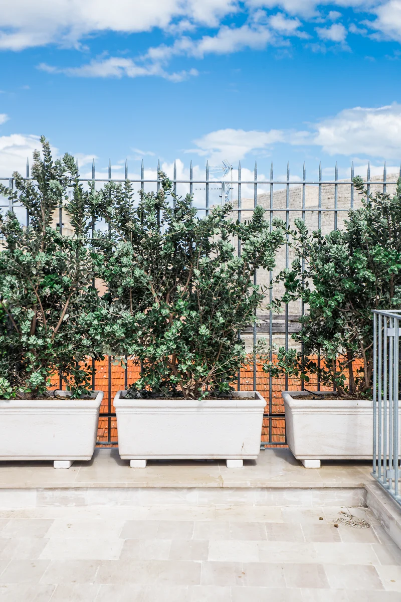 Terrazza con pavimentazione in pietra chiara e fioriere in muratura