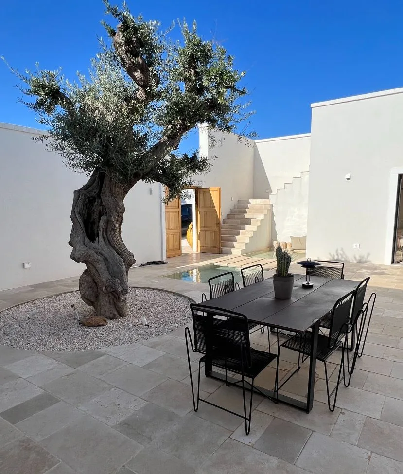 Courtyard of Dimora Maringelli with an ancient olive tree, a black table and paving in pale slabs