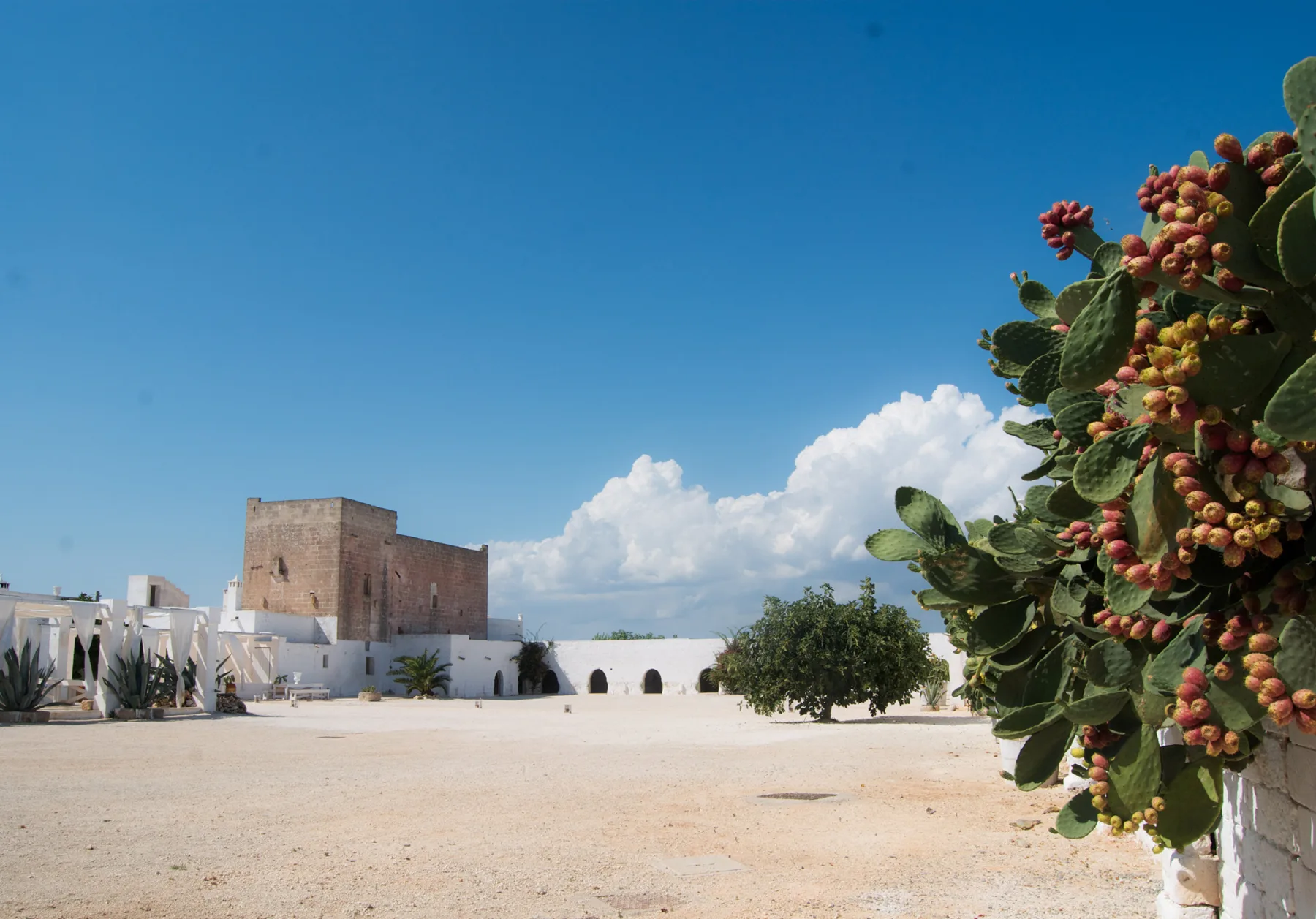 Corte della masseria con la torre in pietra e il muro bianco ad archi